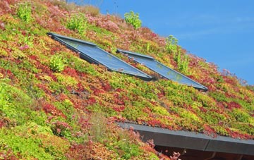 Barton In The Beans living roof systems