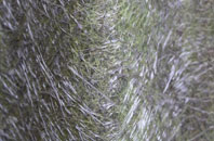 Barton In The Beans fibreglass roof work